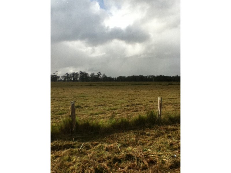 Old Station NSW 2440