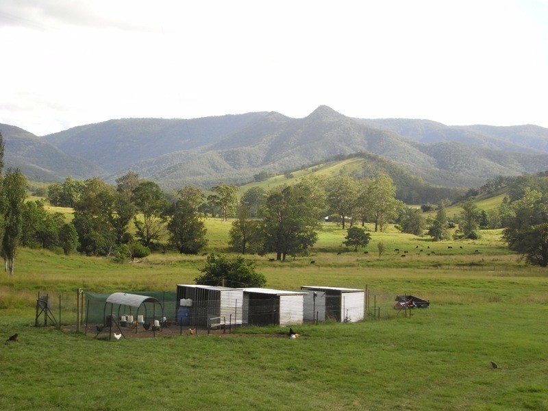 Lower Creek NSW 2440