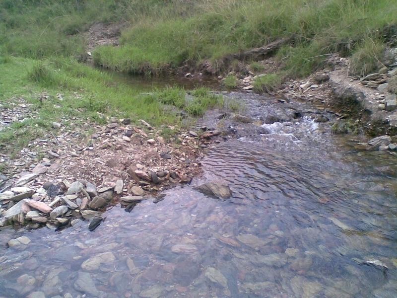 Lower Creek NSW 2440