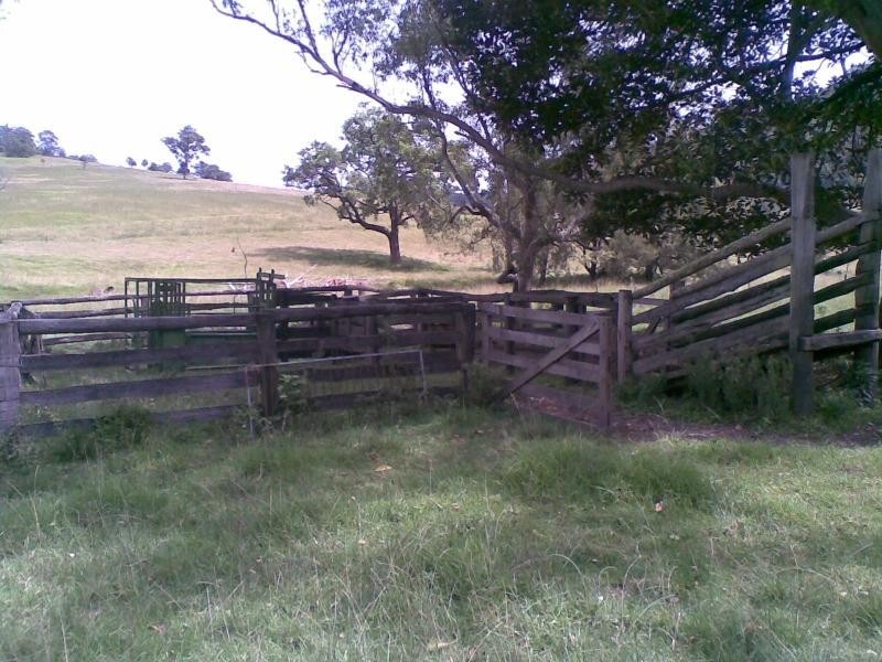 Lower Creek NSW 2440