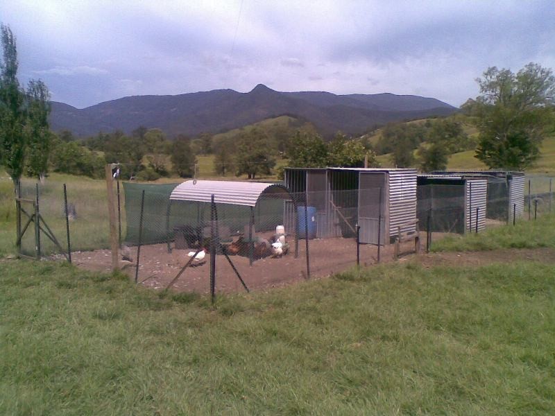 Lower Creek NSW 2440