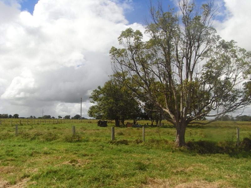 Bellimbopinni NSW 2440