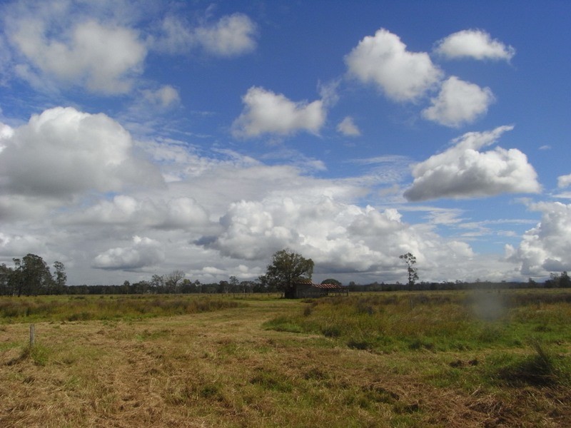 Bellimbopinni NSW 2440