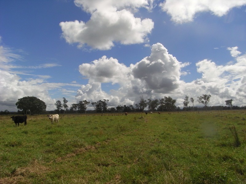 Bellimbopinni NSW 2440