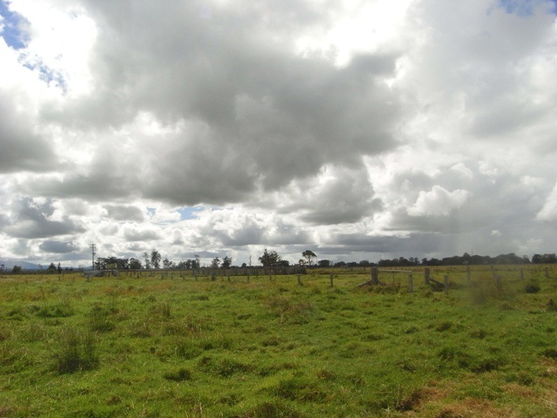 Bellimbopinni NSW 2440