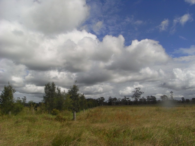 Bellimbopinni NSW 2440