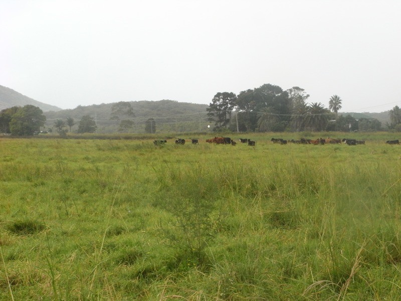 2700 South West Rocks Road, Jerseyville NSW 2431