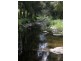 Lot 10 McKenzie Creek Road, Bellbrook NSW 2440