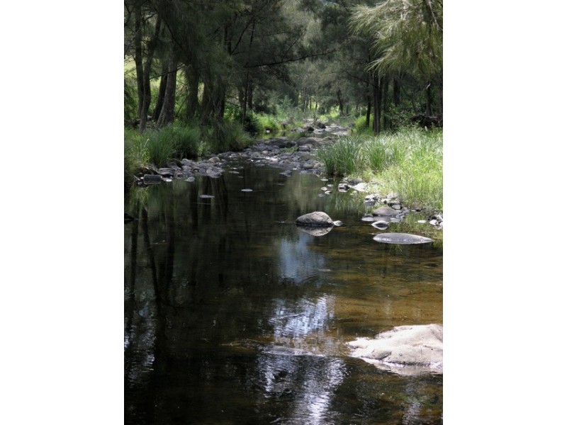 Lot 10 McKenzie Creek Road, Bellbrook NSW 2440