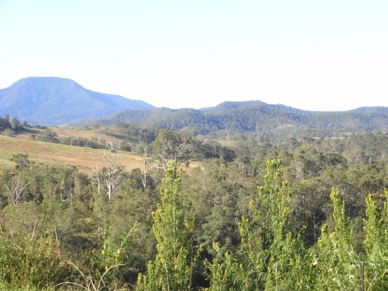 Lot 10 McKenzie Creek Road, Bellbrook NSW 2440