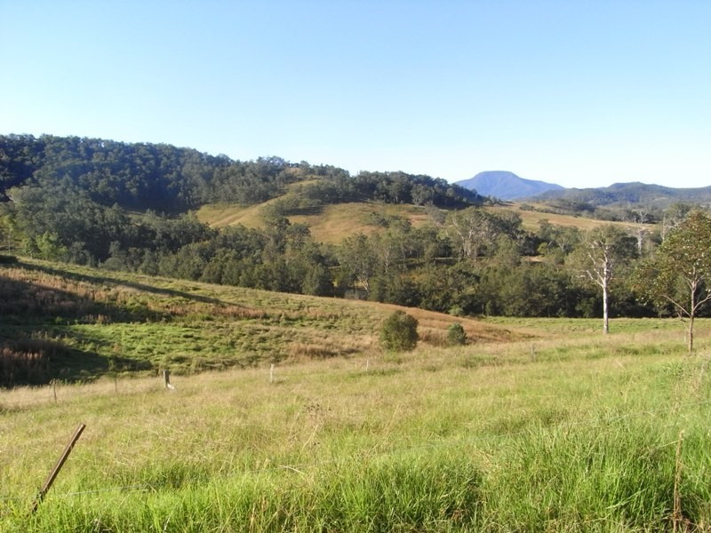 Lot 10 McKenzie Creek Road, Bellbrook NSW 2440