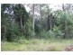 Yarrahapinni NSW 2441