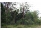Yarrahapinni NSW 2441