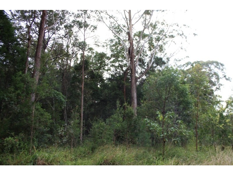 Yarrahapinni NSW 2441