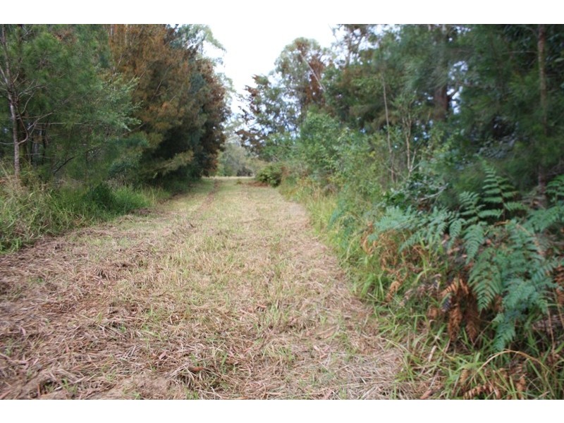 Yarrahapinni NSW 2441