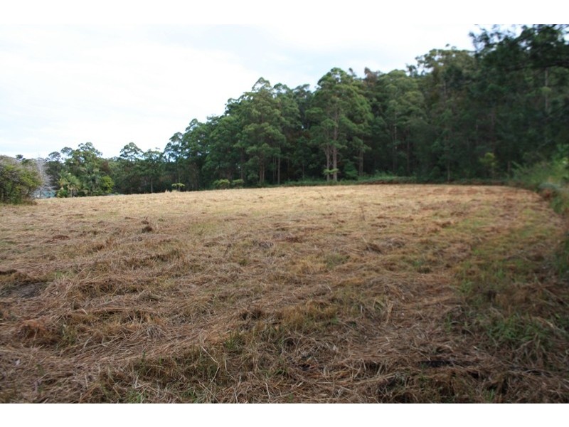 Yarrahapinni NSW 2441