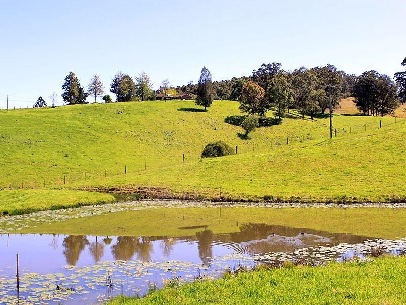 Millbank NSW 2440