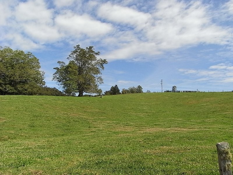 Millbank NSW 2440