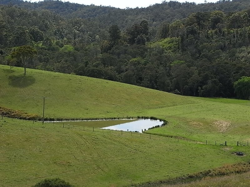 Millbank NSW 2440