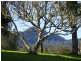 Millbank NSW 2440