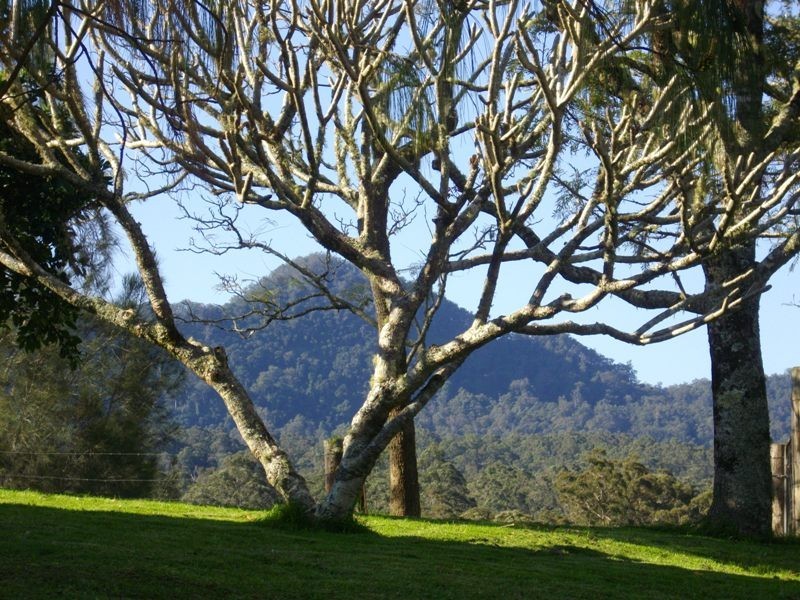 Millbank NSW 2440