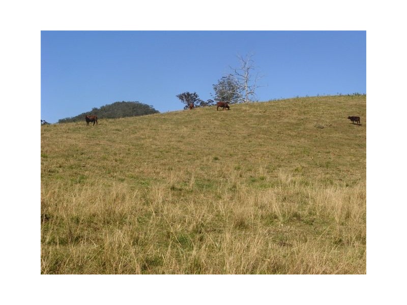 456 Nulla Nulla Creek Road, Bellbrook NSW 2440