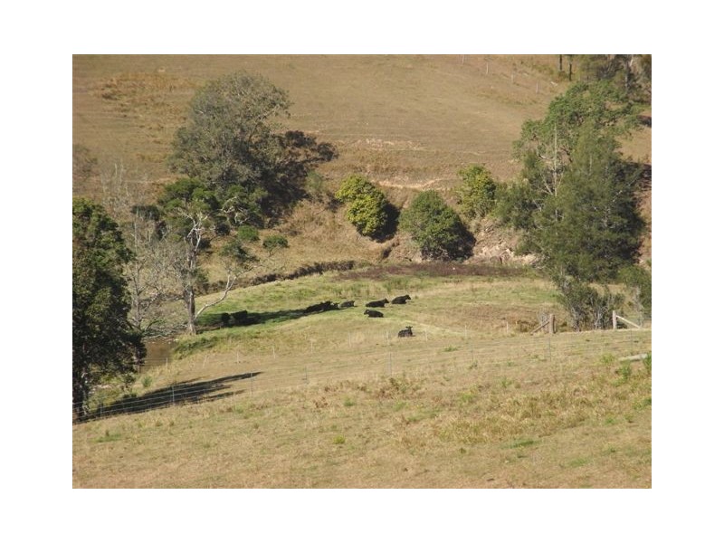 456 Nulla Nulla Creek Road, Bellbrook NSW 2440