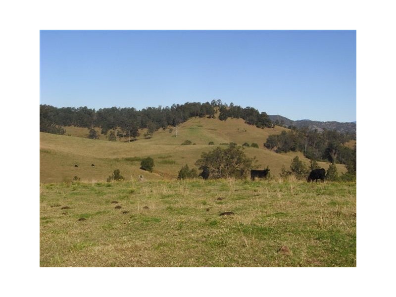 456 Nulla Nulla Creek Road, Bellbrook NSW 2440