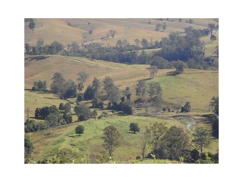 456 Nulla Nulla Creek Road, Bellbrook NSW 2440