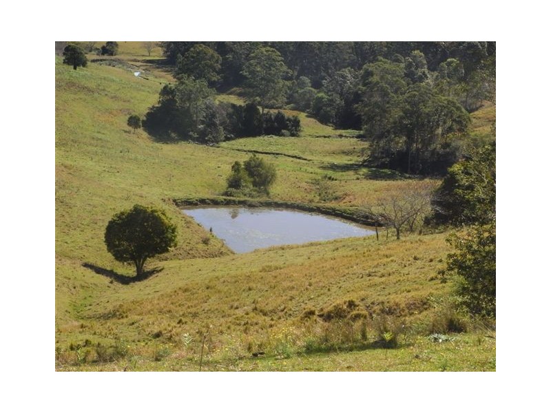 456 Nulla Nulla Creek Road, Bellbrook NSW 2440