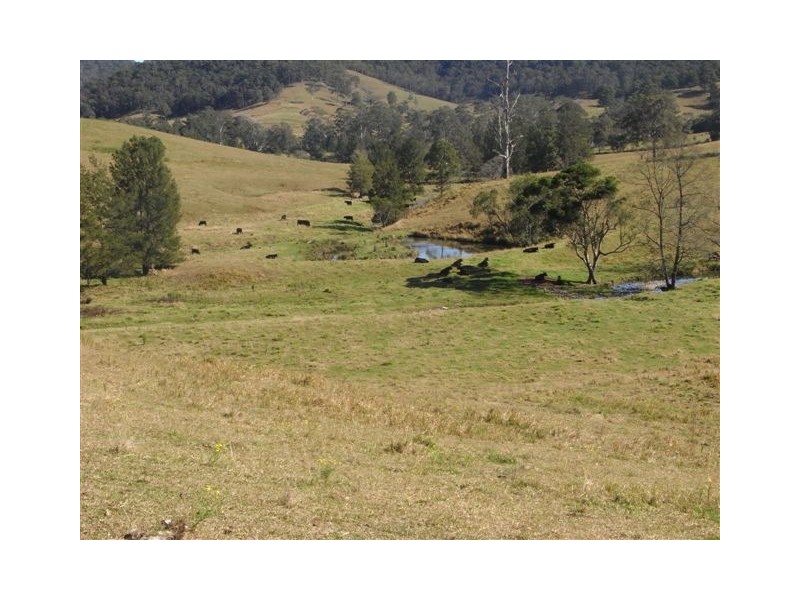 456 Nulla Nulla Creek Road, Bellbrook NSW 2440