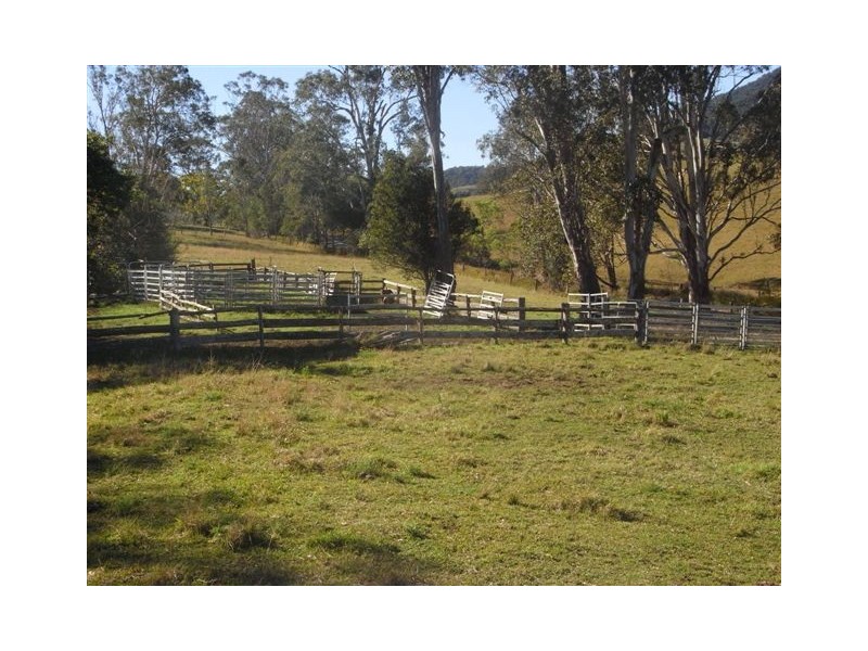 456 Nulla Nulla Creek Road, Bellbrook NSW 2440