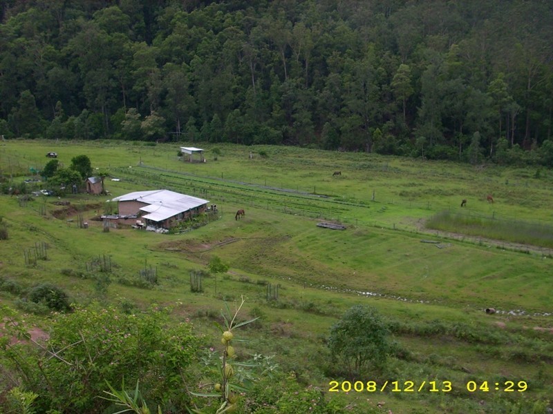 Lower Creek NSW 2440