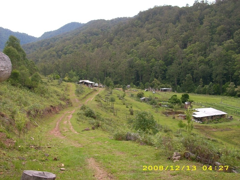 Lower Creek NSW 2440