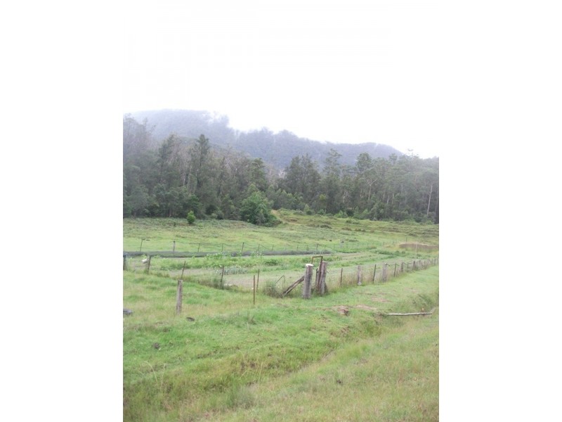 Lower Creek NSW 2440