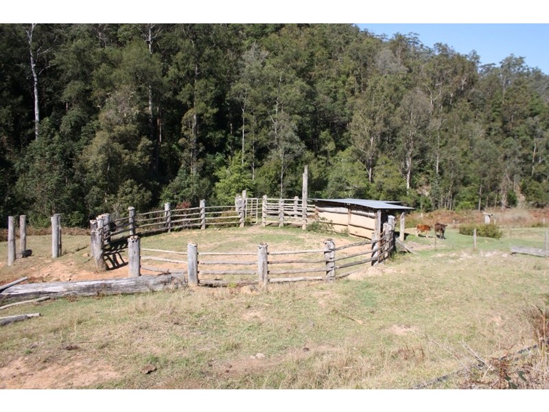 Lower Creek NSW 2440