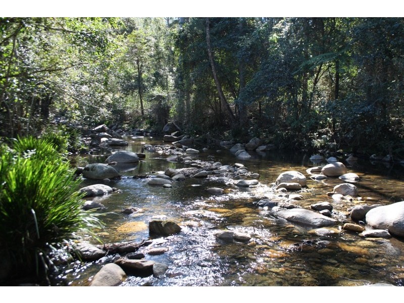 Lower Creek NSW 2440