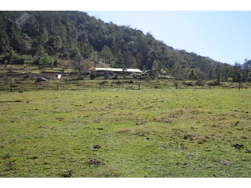 Lower Creek NSW 2440