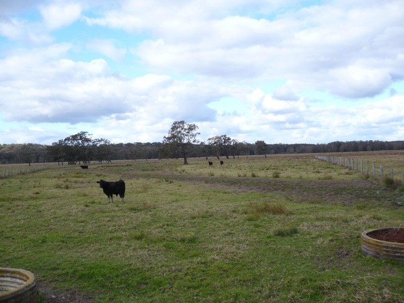 Belmore River NSW 2440