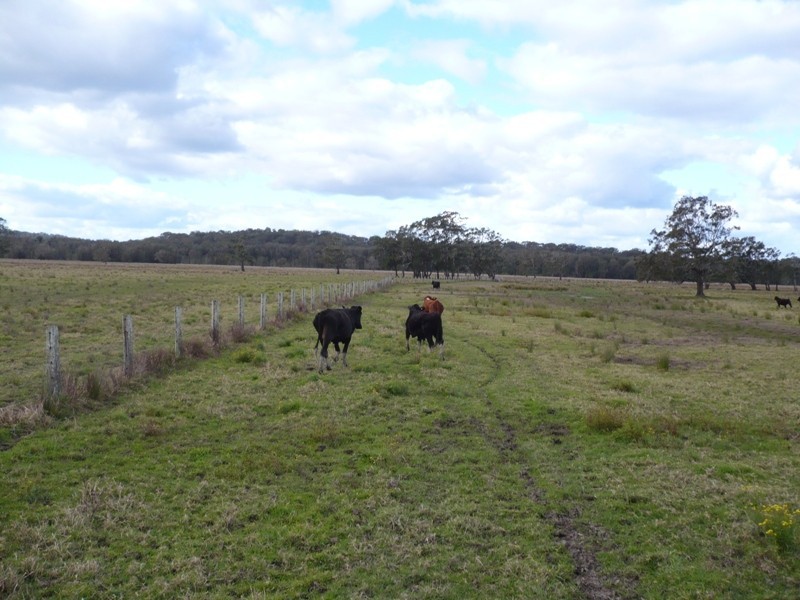 Belmore River NSW 2440