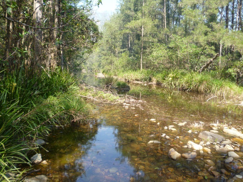 922 Dungay Creek Road, Wittitrin NSW 2440