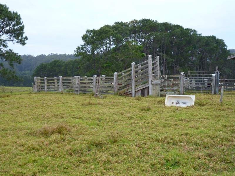 Yarrahapinni NSW 2441