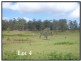 Collombatti NSW 2440