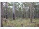 Barraganyatti NSW 2441