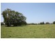 Bellimbopinni NSW 2440