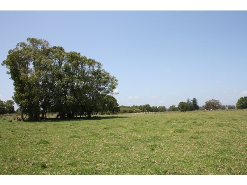 Bellimbopinni NSW 2440