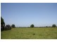 Bellimbopinni NSW 2440