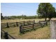 Bellimbopinni NSW 2440