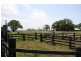 Bellimbopinni NSW 2440