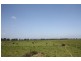 Bellimbopinni NSW 2440
